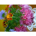 ZDJĘCIA Z TEGO TELEFONU