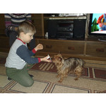 Zdjęcia użytkowników Nokia 6220 Classic