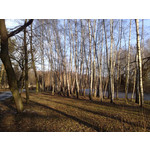 Zdjęcia użytkowników Nokia 6220 Classic