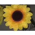 Zdjęcia użytkowników Nokia 6220 Classic