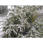 Zdjęcia użytkowników Nokia 6220 Classic