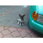 Zdjęcia użytkowników Nokia 6220 Classic