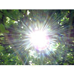 Zdjęcia użytkowników Nokia 6230