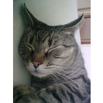 Zdjęcia użytkowników Nokia 6303 Classic