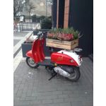 Zdjęcia użytkowników Nokia 6303 Classic