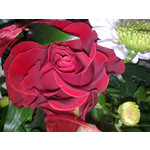 Zdjęcia użytkowników Nokia 6303 Classic