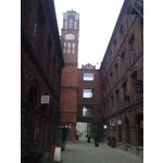 Zdjęcia użytkowników Nokia 6303 Classic