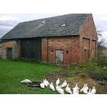 Zdjęcia użytkowników Nokia 6303 Classic