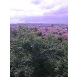 Zdjęcia użytkowników Nokia 6303 Classic