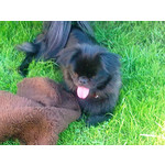 Zdjęcia użytkowników Nokia 6303 Classic