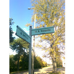 Zdjęcia użytkowników Nokia 6303i classic