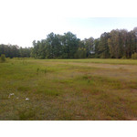 Zdjęcia użytkowników Nokia 6303i classic