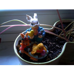 Zdjęcia użytkowników Nokia 6600i slide Zdjęcia użytkowników Nokia 6600i slide