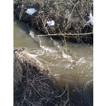 ZDJĘCIA Z TEGO TELEFONU