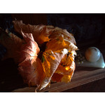 Zdjęcia użytkowników Nokia 6600i slide Zdjęcia użytkowników Nokia 6600i slide