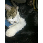 ZDJĘCIA Z TEGO TELEFONU ZDJĘCIA Z TEGO TELEFONU