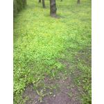 ZDJĘCIA Z TEGO TELEFONU