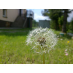 Zdjęcia użytkowników Nokia 6720 Classic Zdjęcia użytkowników Nokia 6720 Classic