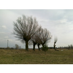 Zdjęcia użytkowników Nokia 6730 classic