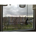 Zdjęcia użytkowników Nokia 7.2