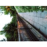 Zdjęcia użytkowników Nokia 7 Plus