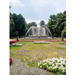 Zdjęcia użytkowników Nokia 7 Plus