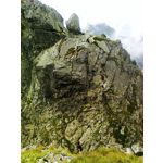 ZDJĘCIA Z TEGO TELEFONU