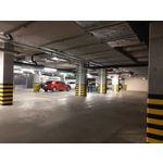 Zdjęcia użytkowników Nokia 8.1