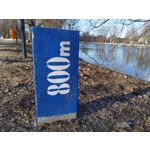 Zdjęcia użytkowników Nokia 8.1