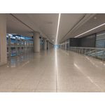 Zdjęcia użytkowników Nokia 8.1