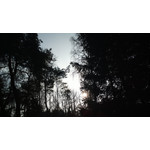 Zdjęcia użytkowników Nokia 808 Pure View