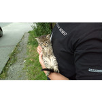 Zdjęcia użytkowników Nokia 808 Pure View