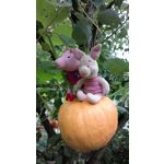 Zdjęcia użytkowników Nokia 808 Pure View