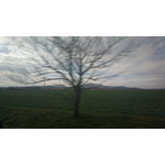 Zdjęcia użytkowników Nokia 808 Pure View