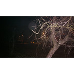 Zdjęcia użytkowników Nokia 808 Pure View