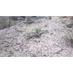 Zdjęcia użytkowników Nokia 808 Pure View