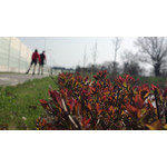 Zdjęcia użytkowników Nokia 808 Pure View