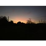 Zdjęcia użytkowników Nokia 808 Pure View