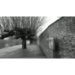 Zdjęcia użytkowników Nokia 808 Pure View