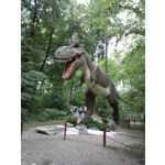 Zdjęcia użytkowników Nokia 808 Pure View