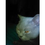 ZDJĘCIA Z TEGO TELEFONU