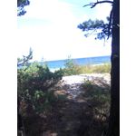 Zdjęcia użytkowników Nokia Asha 200