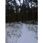 Zdjęcia użytkowników Nokia Asha 200