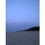 Zdjęcia użytkowników Nokia Asha 200