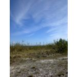 Zdjęcia użytkowników Nokia Asha 200