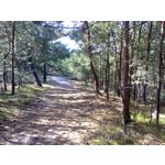 Zdjęcia użytkowników Nokia Asha 200