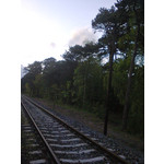 Zdjęcia użytkowników Nokia Asha 200