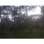 Zdjęcia użytkowników Nokia Asha 200