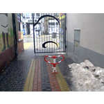 Zdjęcia użytkowników Nokia Asha 200