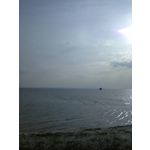 Zdjęcia użytkowników Nokia Asha 200